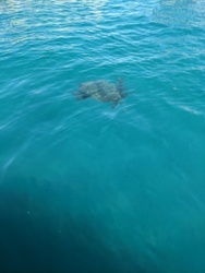 fcaded54-1596-463b-bf8c-0d933b8d2ebf