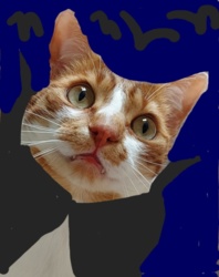 a69f9363-84f5-4099-bc80-59dd0a1d8450