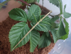 7f4b06f7-6351-48cd-98a8-728ff9ec3b76