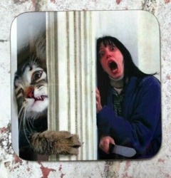 7a27e953-9140-45b0-b2bf-ca7cd27745a2