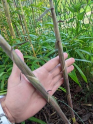 b3093780-08b6-4a23-b873-0047146be242