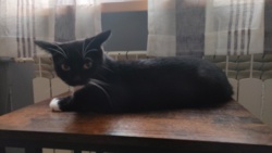 33c5b7b9-1ce4-417a-a368-7dc4eb79e046