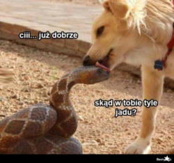 ad7dbca1-6cc2-43e4-9d79-68a5bf4ed74c