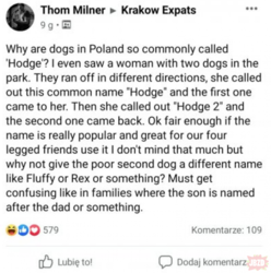 7e0fdc42-52b4-40fc-a035-8218c4b3f07f