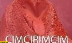 8227a9fe-264e-41d4-bf4a-81e7837b01a4