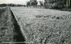 4ab71209-dc13-4be2-b429-419a8ba768c5