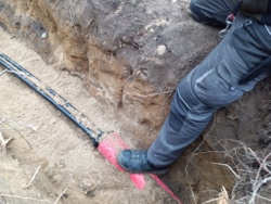 1f2503ea-0fcb-437d-8222-3359687e9051