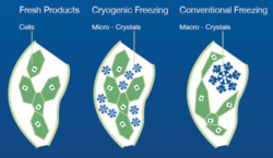 c401bcd4-45c1-4c13-aa47-81e25c3317e3