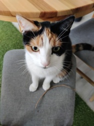 bdd2dece-37d3-45fc-8c41-e18960d6fba2