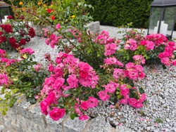 0b2a7b79-3db3-4ba5-ab81-402bf9922e95