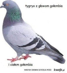 d1bbec02-f1d7-4f11-b7e5-ef1050c87601