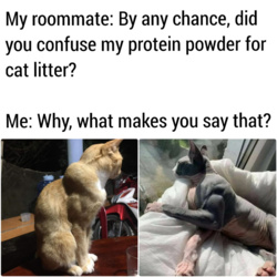 6fe4a141-7898-4177-a211-3747962ebad1