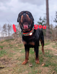 c64d9759-17fd-41c9-90de-c67136ed27e0