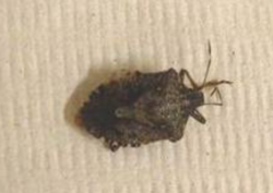 df3ee0c7-df74-4531-b50e-69ef356eef1e