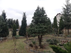 c74bf4f5-e81a-46da-bb4a-d33e314440bf