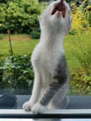 51d13f67-450c-475c-8976-afa24b8f5ca2