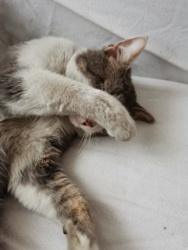 98c92011-320c-40f5-9001-6d06448acdd3