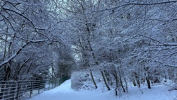 16fdcc38-7827-4812-9e5a-047115e9d0c3