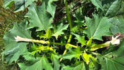 7db47da0-0622-4078-9a97-aae1b4840d8f