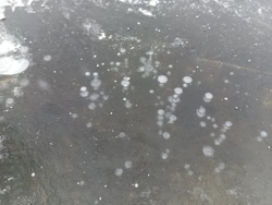 48523b3a-53e4-46a3-b4f9-181ecebffd59