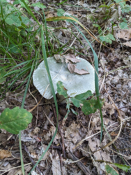 2f6cb088-b976-47eb-a017-0f94194ff002