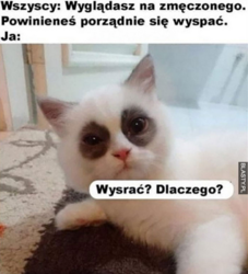 2219375a-a503-44c4-861b-85745091bef6