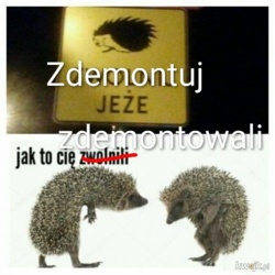 3f845c1b-aaf1-4a92-8d8a-de8d903792f0