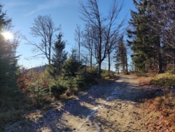 968d427c-7fc9-468f-91f5-e00fcf3a09f3