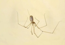 4dbb44c3-323b-479f-92e2-e80426fcf42a