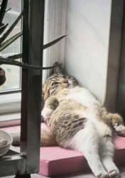 04084993-6756-4336-9597-f81da66fdf80