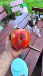 c44c8191-5d21-4a8c-9760-d731d53f6505