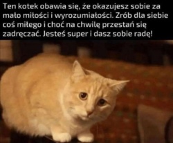 40551ba0-73f8-4927-a336-312a951824df