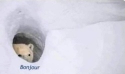 1c8fa9e3-fcfc-42d1-bd92-fe8f13aaca27