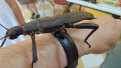 9730fb62-6000-4c05-bc7f-f1078f9c14c9