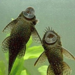 53554268-de90-47d2-bbd0-2a3921595ce3