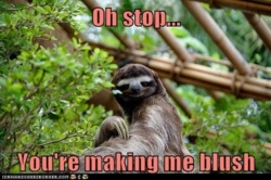 2c5951bf-ee34-45e5-8ac2-69c845fec3fc