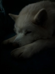 46fca288-e5f0-4077-8f5b-c63675dfc85e