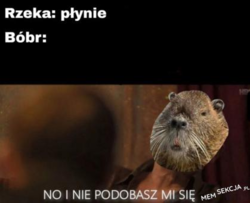 0bb3a018-8f9c-4f78-86d4-eab73e292b7e