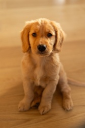 f3a15e09-355e-4273-8691-e96736b23864