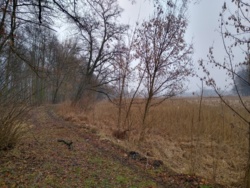 26838b93-180b-46b2-a167-ee6d5d38e9f7