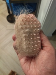 cf28d391-7f06-431d-8bf1-47dfac999714