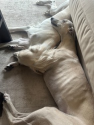 29b13e3a-2c08-4822-8c5f-0311c627561e