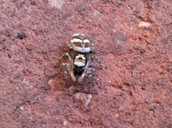 48c76c1a-ed69-416f-8ba0-901260de6172