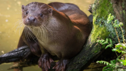 b62a51d2-149c-4e6b-b71a-ffae8b59a334