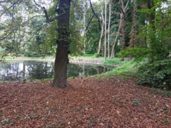 430520fe-f8cc-4bb2-9a75-409804d6fa63