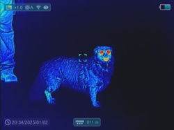 ef0125c8-6375-43d0-a975-ee690160f6ff