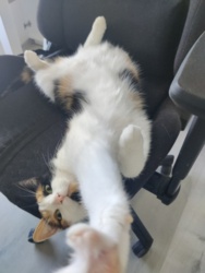 77d2676c-903c-44df-bfc5-b5b5653fad43