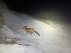 37c34b53-b3df-4abc-bb5e-49c877025727