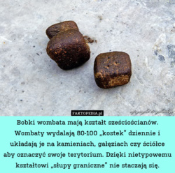 f8f7b8d2-2090-4a39-961e-df55604e283c