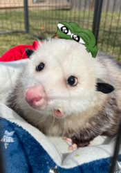 e5cbd3e7-7f54-47ff-a0d0-915ff3cd8853